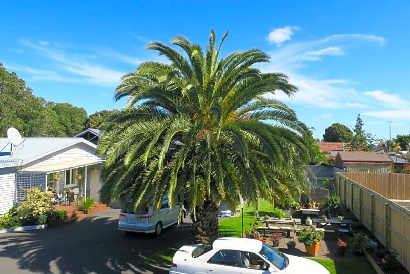 Roselands Motel Tauranga Bagian luar foto